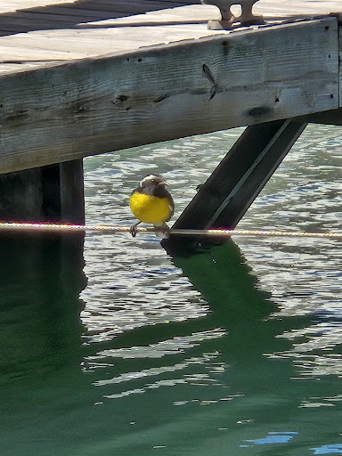 Photo from customer review