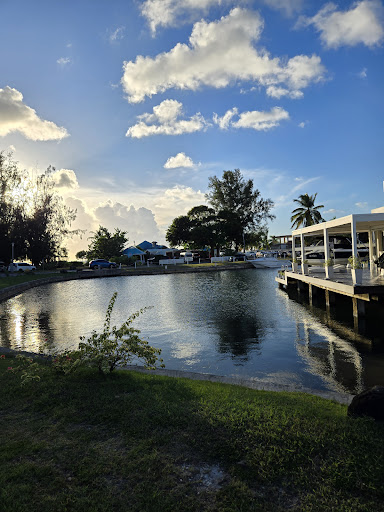 Photo from customer review