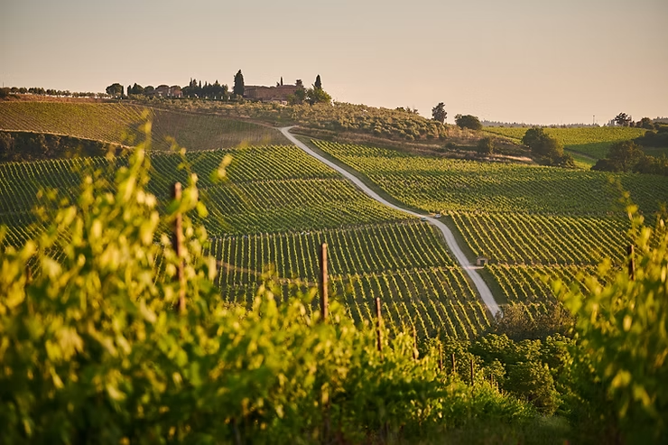 greece or italy honeymoon